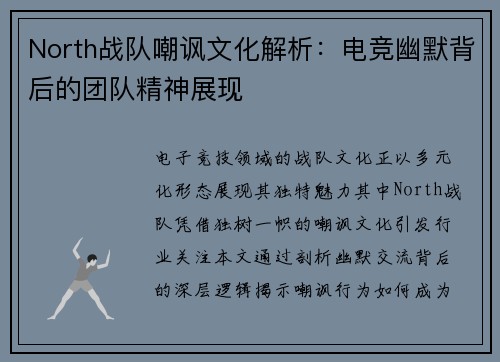 North战队嘲讽文化解析：电竞幽默背后的团队精神展现